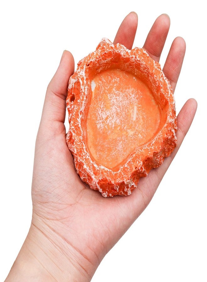 Neeenn 3 Pack Reptile Food Dish, Resin Hermit Crab Food & Water Bowl, Reptile Feeding Food Dish Kit, Tank or Aquarium Accessory, Suitable for Turtle Lizard Hermit Crab Snail Bearded Dragon Leopard Gecko - Image 4
